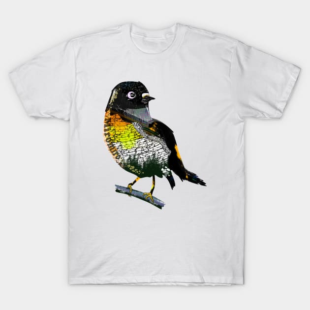 Tomtit miriomiro graffit style T-Shirt by mailboxdisco